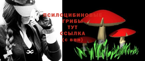 спиды Лагань