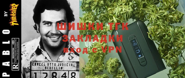 спиды Лагань