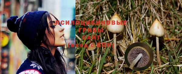 спиды Лагань