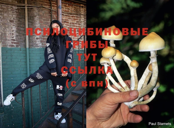 спиды Лагань