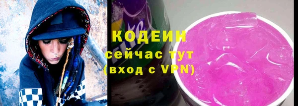спиды Лагань